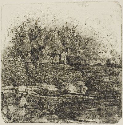 Stromy na louce od Giovanni Fattori