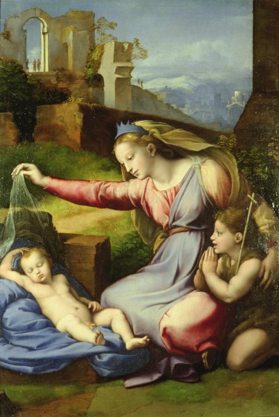 Virgin of the Veil (The Virgin of the Blue Diadém) od Giovanni Francesco Penni