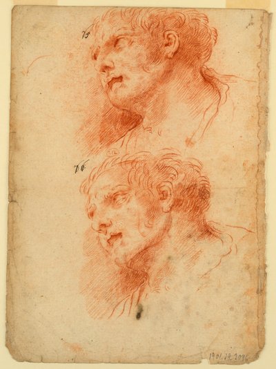 Čtyři studie po hlavě muže od Giovanni Giardini