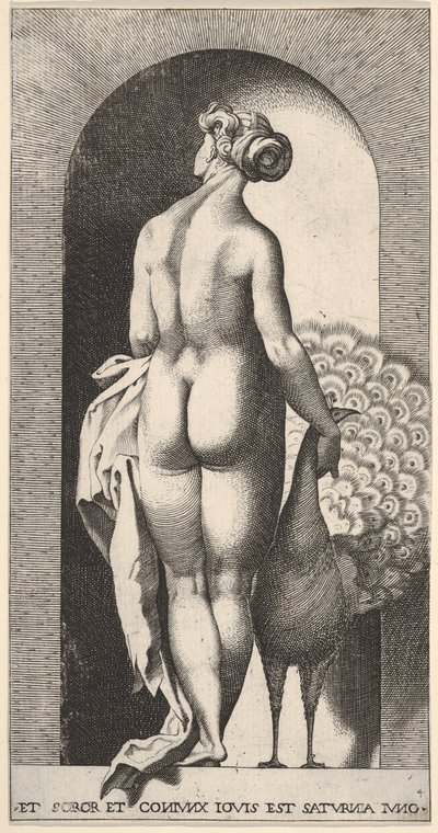 Deska 4: Juno stojící ve výklenku, při pohledu zezadu, hladící páva po své pravici, fr..., 1526. od Giovanni Jacopo Caraglio