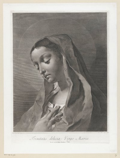 Maria Panna Maria od Trojice (titul na předmětu) od Giovanni Marco Pitteri