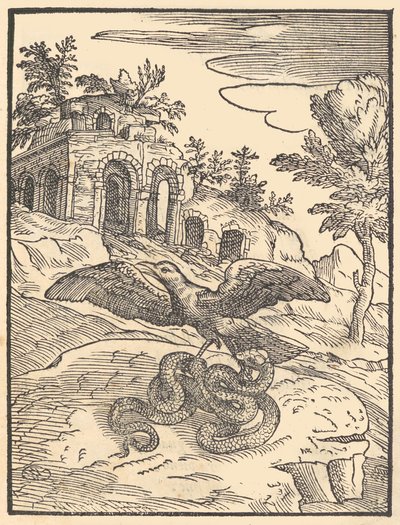 Pták a had, 1570. od Giovanni Maria Verdizotti