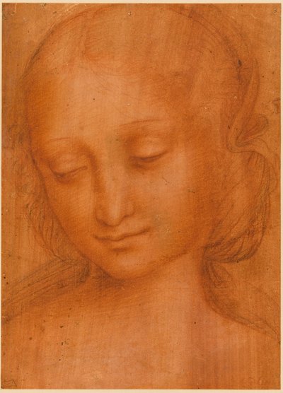 Hlava ženy od Giovanni Pietro Rizzoli Giampietrino