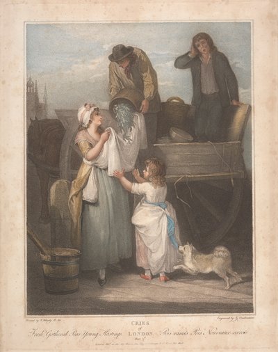 Čerstvý hrášek, mladý Hastings od Giovanni Vendramini