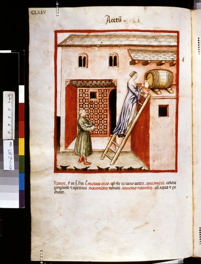 Theatrum sanitatis, Ububchasym de Baldach: "Acetum", první desetiletí 14. století (miniatura) od Giovannino de