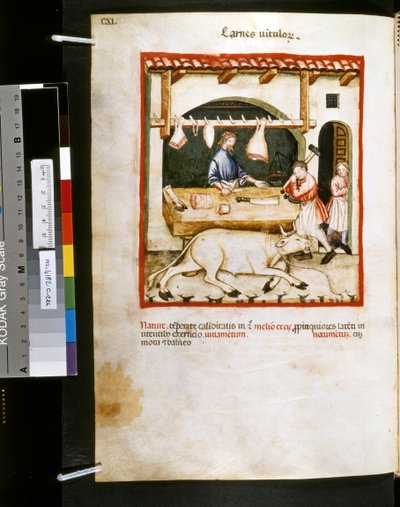 Theatrum sanitatis od Ububchasym de Baldach: "Carnes Vitulorum", první desetiletí 14. století (miniatura) od Giovannino de