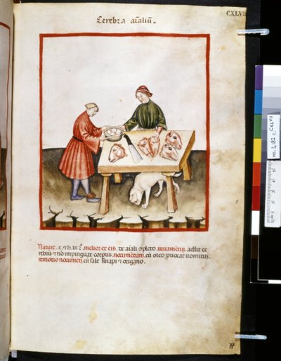 Theatrum sanitatis od Ububchasym de Baldach: Cerebra Animalium", první desetiletí 14. století (miniatura) od Giovannino de