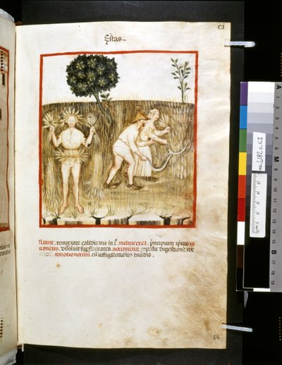 Theatrum sanitatis, Ububchasym de Baldach: "Estas", první desetiletí 14. století (miniatura) od Giovannino de