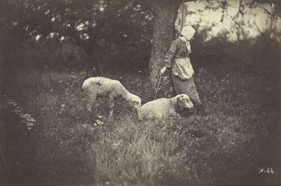 Pastýřka opřená o strom se dvěma ovcemi, 1870. od Giraudon