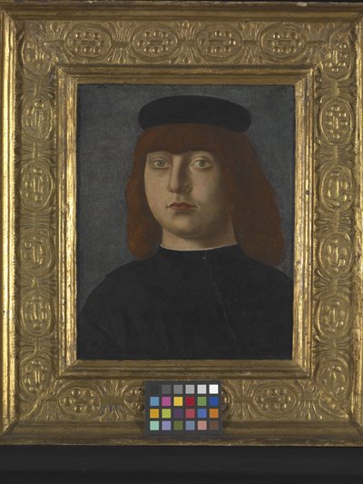 Portrét muže (olej na dřevě) od Girolamo Mocetto
