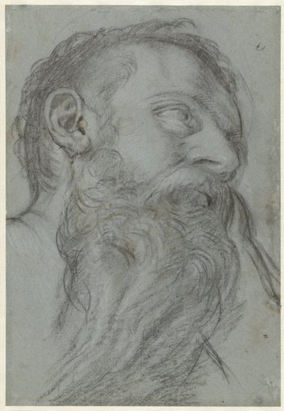 Studie hlavy proroka od Girolamo Muziano