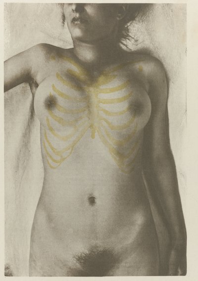 Anatomické foto van een vrouwelijk lijk: 