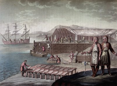 Lov tresky prováděný obyvateli Newfoundlandu - v „“Le Kostým ancien et moderne““ od Ferrario, ed. Milán od Giulio Ferrario