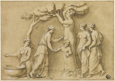 Narození Adonise od Giulio Romano