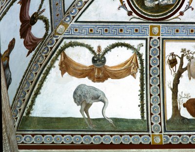 Camera con Fregio di Amorini Komnata Amora Vlys detail pštrosa, freska z roku 1520 od Giulio Romano
