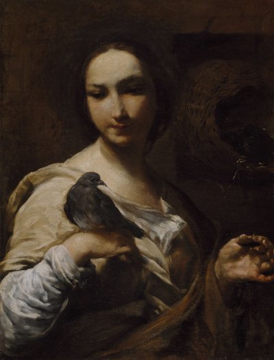 Dívka držící holubici, 1721-27. od Giuseppe Maria Crespi