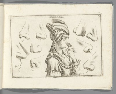 Čich Odorare (název na objektu) od Giuseppe Maria Mitelli