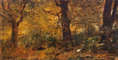 Studium dřeva od Giuseppe or Joseph de Nittis