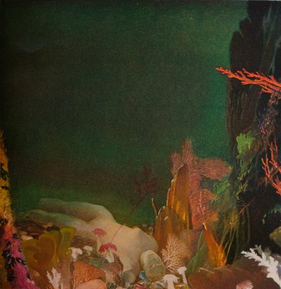 Pod mořem, c1904-1924, 1924 od Glyn Warren Philpot