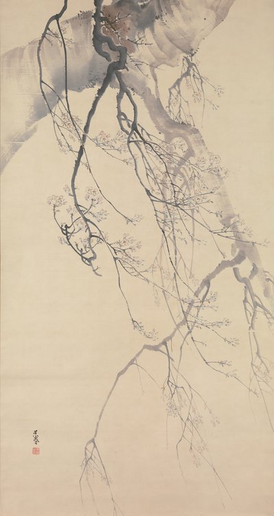 Cherry Blossoms, 18. století. od Go Shun