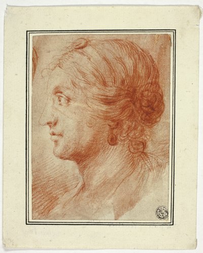 Busta ženy v profilu vlevo od Godfrey Kneller