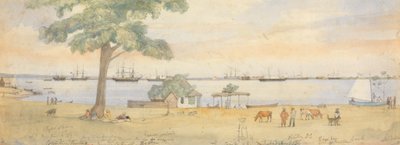 Greytown od Godfrey Thomas Vigne