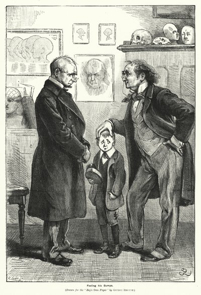 Feeling his Bumps (rytina) od Gordon Frederick (after) Browne