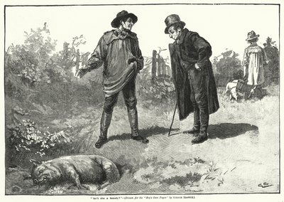 "Není krásná?" (rytina) od Gordon Frederick (after) Browne