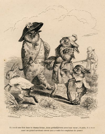 Dva malí zajíci se svou velkou sestrou se zastavili u sovy v poli. Za nimi stojí lovecká liška. Miniatury ilustroval JJ Granville. Rytina signovaná Breviere v části "Příběh zajíce" napsal PJ Stahl v od Grandville