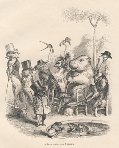Zvířata v elegantním oblečení procházející se v Tuileries. Viněty ilustroval JJ Granville. Rytina podepsaná Andrewem, Bestem a Leloirem v části "Historie zajíce", kterou napsal PJ Stahl ve "Scénách ze soukromého a veřejného života zvířat". Sázka od Grandville