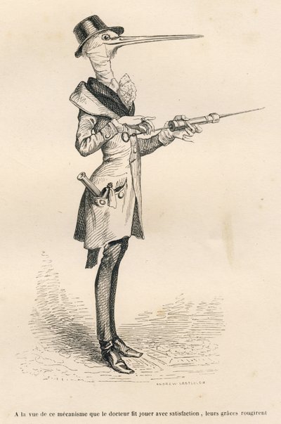 Čáp jako lékař manipulující s klystýrem. Miniatury ilustroval JJ Granville. Rytina podepsaná Andrewem, Bestem a Leloirem v části nazvané „Court pains of an English cat“, kterou napsal Honore de Balzac ve „Scenes de la vie privee et publique des od Grandville