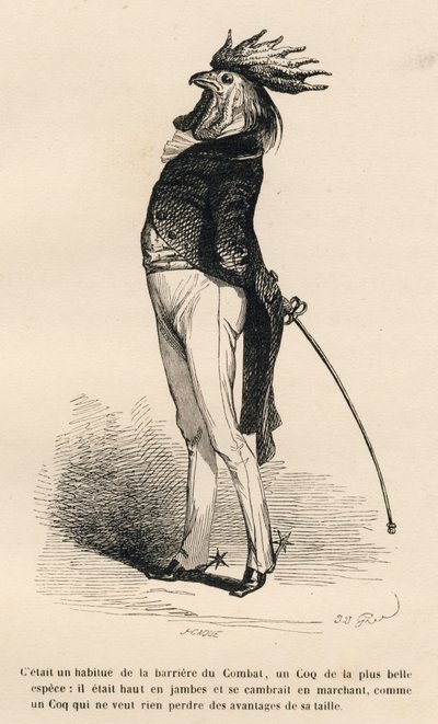 Kohout zvyklý na hrdou obchodní bojovou bariéru. Miniatury ilustroval JJ Granville. Rytina signovaná Caque v části "Příběh zajíce" od PJ Stahla ve "Scénách ze soukromého a veřejného života zvířat". Paris, J. Hetzel a Paulin od Grandville