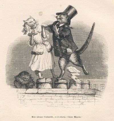 Dvě kočky, které se navzájem svádějí na střeše. Miniatury ilustroval JJ Granville. Rytina podepsána Andrewem, Bestem a Leloirem v části nazvané „Court pains of an English cat“, kterou napsal Honore de Balzac v „Scénách ze soukromého a veřejného života zvíř od Grandville