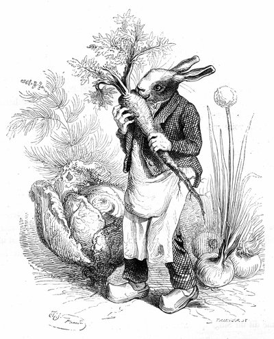 Grandville-Stich, aus dem Buch „Privates und öffentliches Leben der Tiere (Les animaux peints par eux-mêmes)“, Hetzel-Ausgabe 1867. Kaninchengärtner in Hufen knabbert eine Karotte in seinem Gemüsegarten, wo Gemüse (Zwiebeln und Kohl) wächst. von Grandville (1803-47)