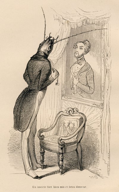 Hmyz při pohledu na svůj lidský odraz v zrcadle). Viněty ilustroval JJ Granville. Gravírování podepsáno Andrew, Best a Leloir v části nazvané „Dobrodružství motýla“, kterou napsal PJ Stahl ve „Scénách ze soukromého a veřejného života zvířat od Grandville