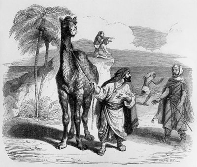 La Fontaines Fabel (von Jean de La Fontaine): das Kamel und die schwimmenden Stöcke, Stich von J.J. Grandville, ca. 1838-40 von Grandville (1803-47)