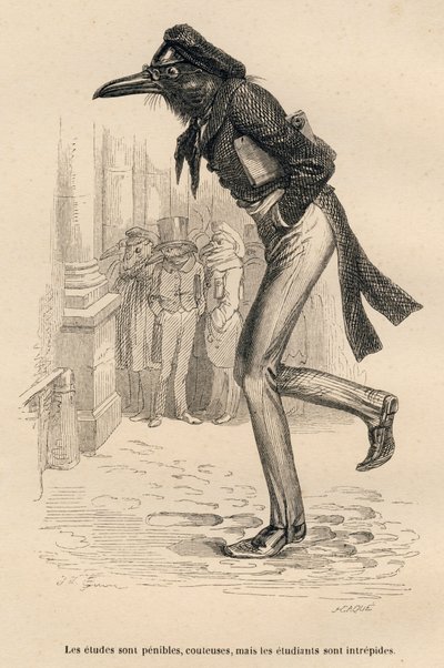 Studium je těžké, drahé, ale studenti jsou nebojácní. Miniatury ilustroval JJ Granville. Rytina signovaná Caque v části nazvané „The animal doctor“ napsal Pierre Bernard v „Scénách ze soukromého a veřejného života zvířat od Grandville