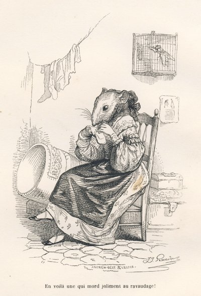 Myška opravuje ponožku. Miniatury ilustroval JJ Granville. Rytina podepsána Andrewem, Bestem a Leloirem v části nazvané „Krysa filozofa“, kterou napsal Edouard Lemoine ve „Scénách ze soukromého a veřejného života zvířat“. Paris, J. Hetzel a od Grandville
