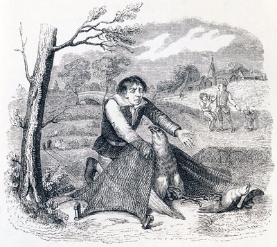 The Birdcatcher, Goshawk a Lark - Bajky od La Fontaina od Grandville