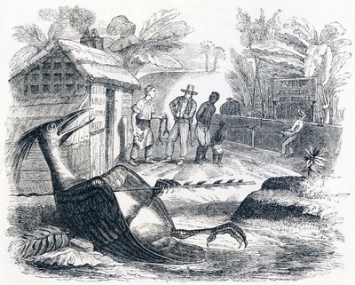 Pták bolí šípem - Bajky od La Fontaine od Grandville