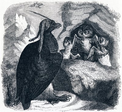 Orel a sova - Bajky od La Fontaina od Grandville