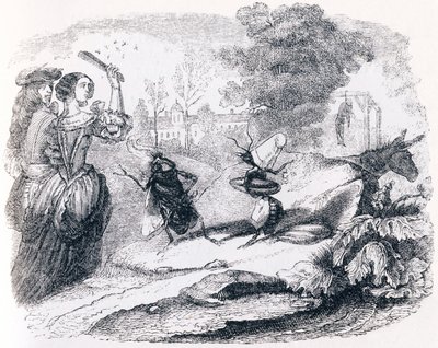 Moucha a mravenec (La mouche et la fourmi) - Bajky od La Fontaina od Grandville