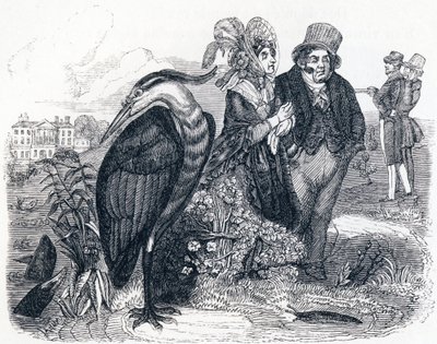 Volavka (le Heron) - Bajky od La Fontaina od Grandville