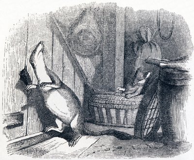 Lasička vstoupí do podkroví - Fables od La Fontaine od Grandville