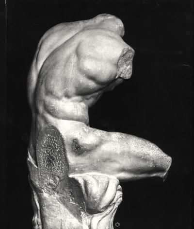 Torzo Belvedere (mramor) (černobílá fotografie) od Greco Roman Greco Roman
