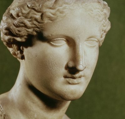 Hlava Artemis (mramor) od Greek