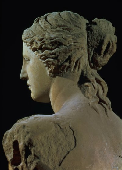 Venus de Milo, detail zadní části hlavy, helénistické období, cca 100 př. nl mramor pro čelní pohled viz 14152 od Greek