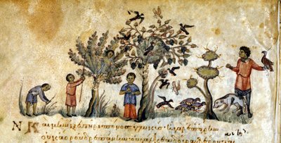Lov se sokoly k odchytu ptáků – v „“De Venatione““ od Oppiana, řeckém rukopisu ze 13. století. Knihovna Marciana. Benátky od Greek School