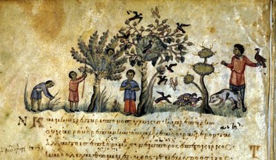 Lov se sokolem a chytání ptačích hnízd. Řecký rukopis Oppianus De Venatione 13. století. od Greek School