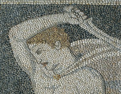 Krateros, cca 320 př. n. l. (mozaika) (detail 332175) od Greek School